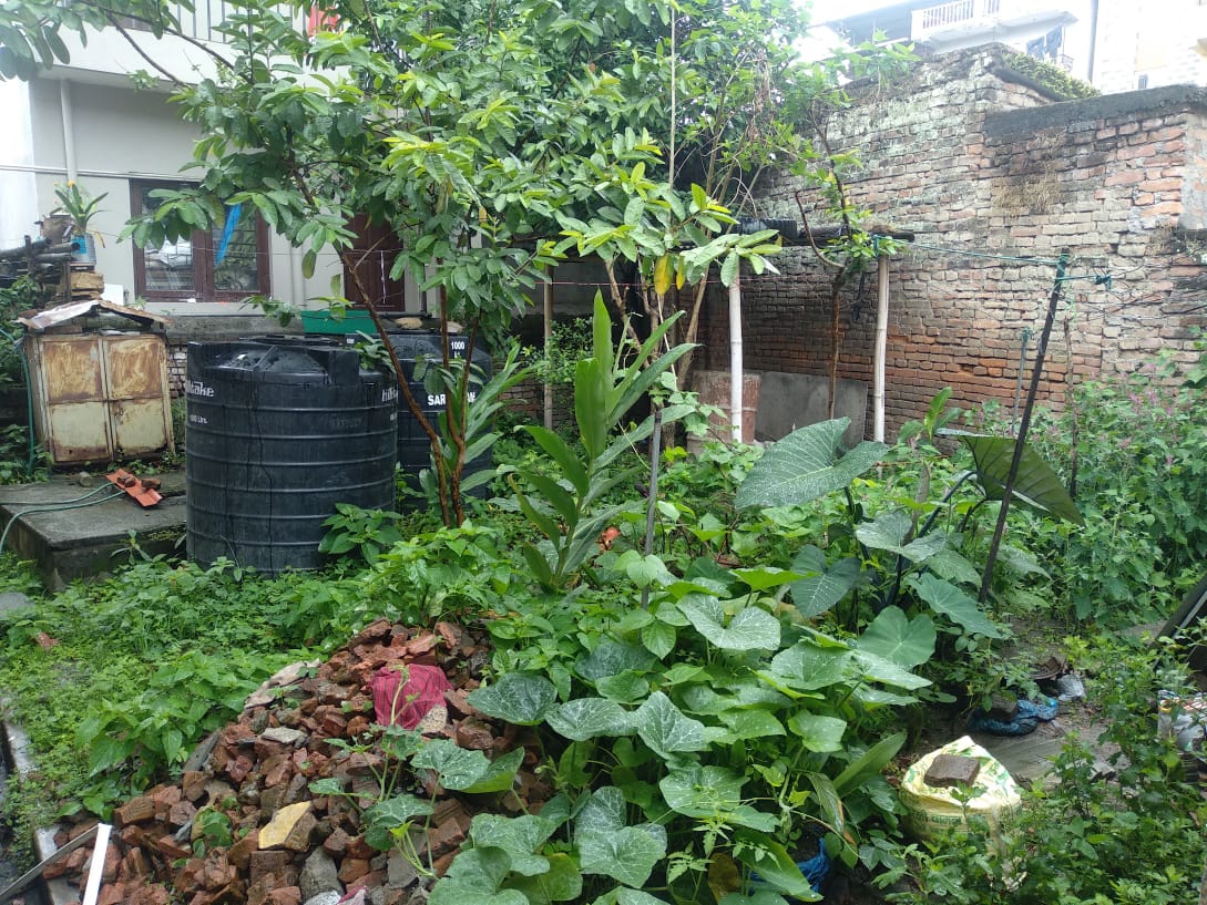 WhatsApp Image 2025-05-04 at 17.39.23_1c470f52 Old House for Sale in Chhetrapati